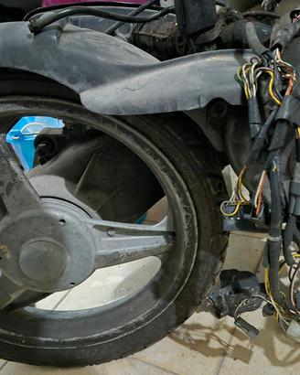 Motore piaggio free 50cc