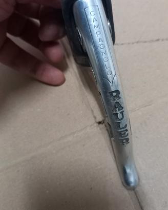 Campagnolo/ Rauler 