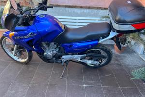 HONDA TRANSLP XL 650 V