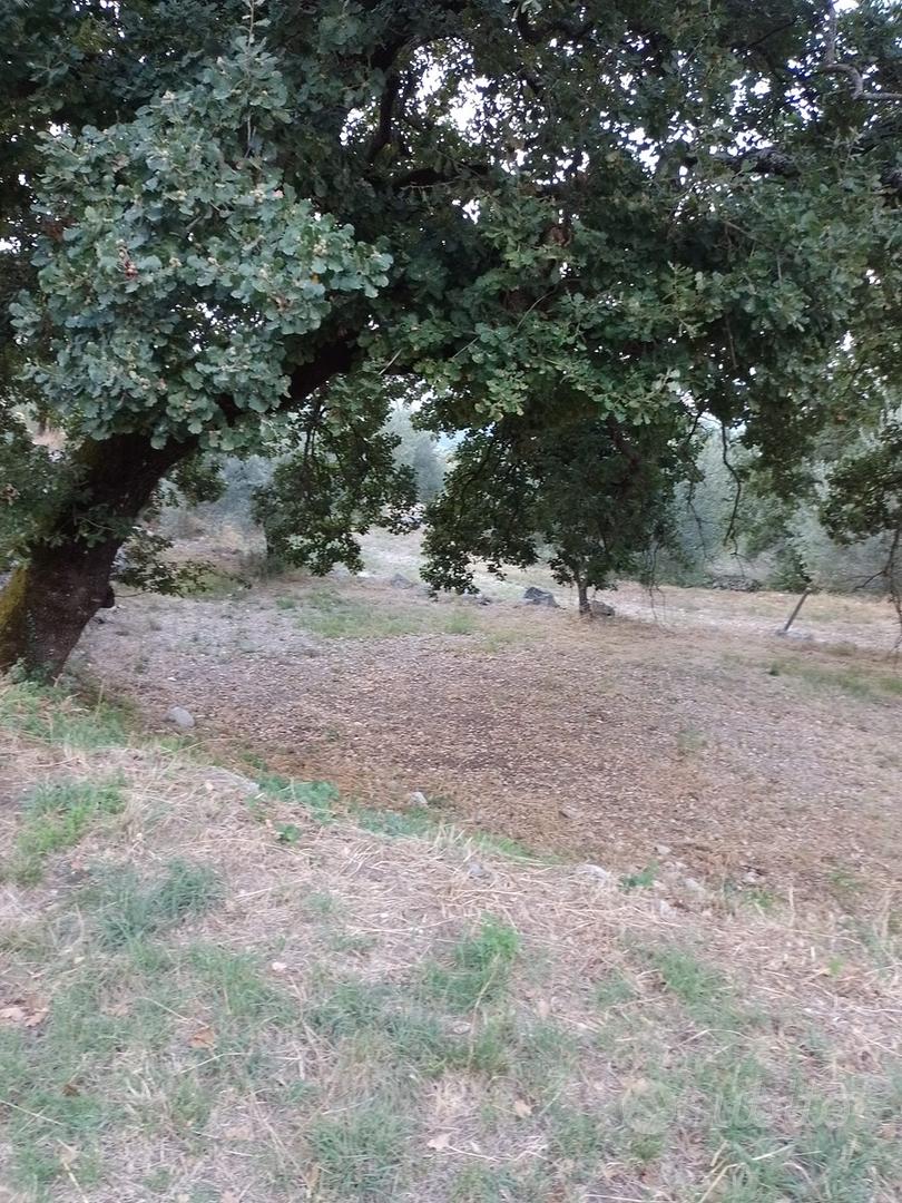 Terreno di 8000m circa - Vista 2