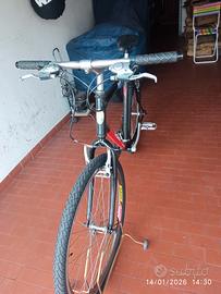 bici MTB 