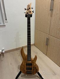Basso Elettrico LTD LTD B-204SM - NUOVO 