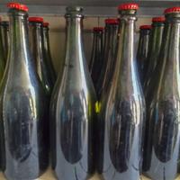 Bottiglie per il vino