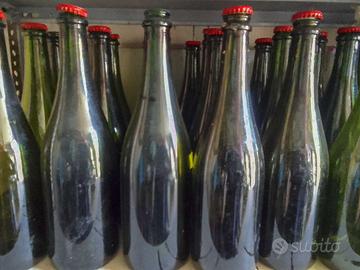 Bottiglie per il vino