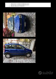panda 4x4