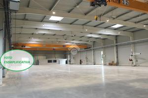 CAPANNONE A TRAVERSETOLO