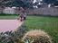 Immagine 12