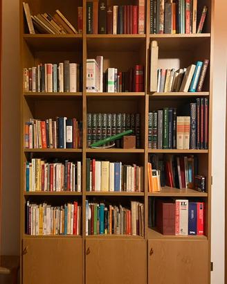 Libreria in legno