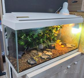 Acquario/ Terrario 80x30x40