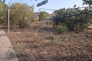 Terreno via Fani Domusnovas