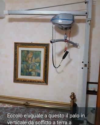 Sollevatore per invalidi
