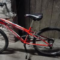 Bicicletta  24 pollici