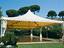 Immagine 10