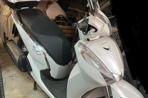Sh 300