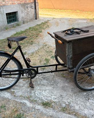 Bici cargo