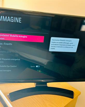 Tv LG 28 pollici con DvbT2