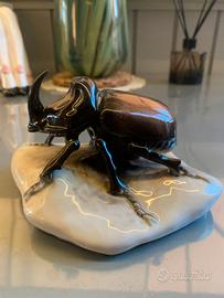 ROYAL DUX - Rhinoceros Beetle (#498)