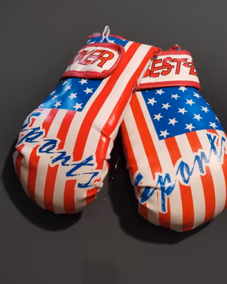 guanti boxe 