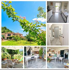 B&B Pesciolino Rosso