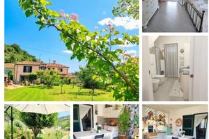 B&B Pesciolino Rosso
