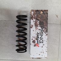 molla mono posteriore beta rr 2022