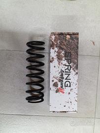 molla mono posteriore beta rr 2022