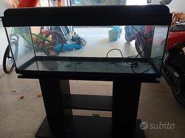 Acquario 120 litri