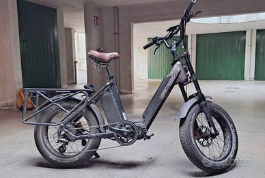 Bici elettrica da carico
