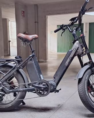 Bici elettrica da carico