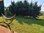 Immagine 29