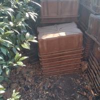 Cassette in plastica vendemmia