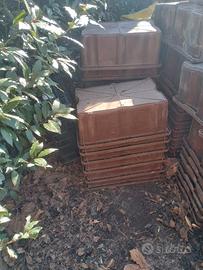 Cassette in plastica vendemmia