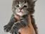 Immagine 4