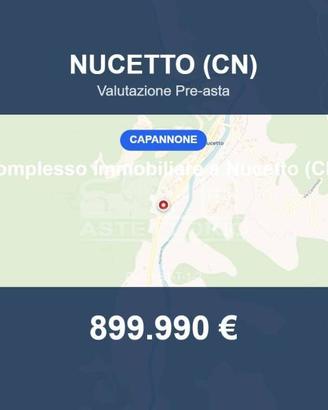 Immobile in asta di 4000 m² a Nucetto