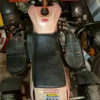 Quad 50cc