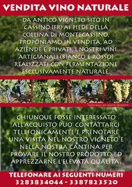 Vino naturale