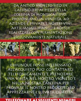 Vino naturale