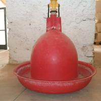 Abbeveratoio automatico PLASSON