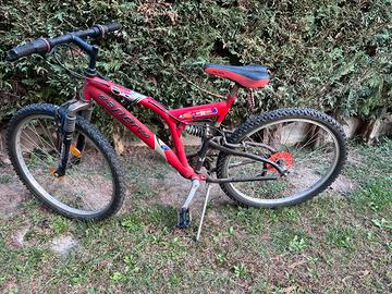 Bicicletta Ragazzo Uomo