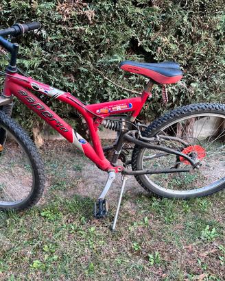 Bicicletta Ragazzo Uomo