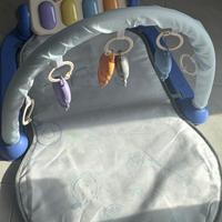 Palestrina musicale forest