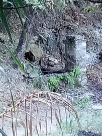 Terreno con ruderi in accatastamento a Caprioli