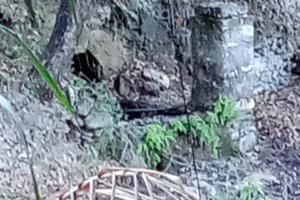 Terreno con ruderi in accatastamento a Caprioli