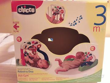 Palestrina chicco