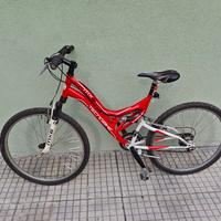 bicicletta ragazzo