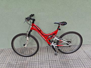 bicicletta ragazzo