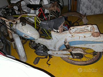 ciclomotore Peripoli Giulietta 
