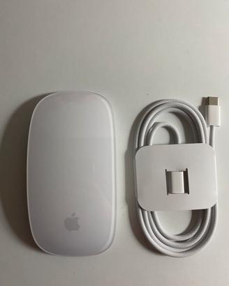 Magic mouse apple