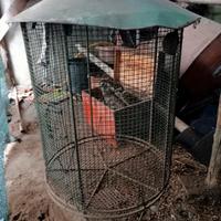 Gabbia per uccellini 
