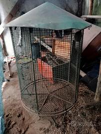 Gabbia per uccellini 